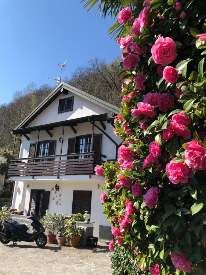 Villa Casa Delle Azalee Gravellona Toce Exterior foto